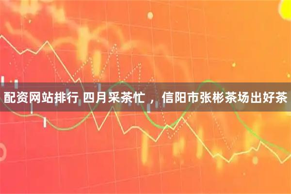 配资网站排行 四月采茶忙 ，信阳市张彬茶场出好茶